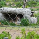 문수산자연휴양림 이미지