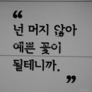 장선생수학 네이버블로그