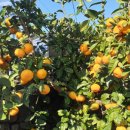 위미의원 이미지