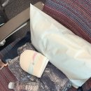 917 | [스위스여행 | Ep.0] :: 부산 &gt; 인천 내항기, 인천&gt; 취리히 직항 KE917편 이코노미석 후기