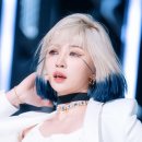 하이하이 이미지