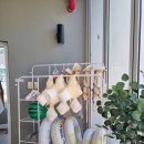 PH39(더펜트하우스 청도) 이미지