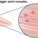 참손길지압힐링안마원 이미지