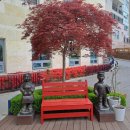 일산1동 행정복지센터 이미지