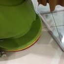 명동의류 이미지