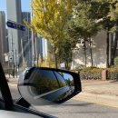 일성카포스 이미지