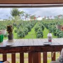 고원농장 이미지