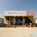 포도나무정형외과의원 이미지