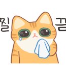 온마음 동물메디컬센터 이미지