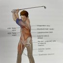 에이플러스 골프 이미지