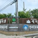 경기도 양평군 세미원-두물머리 여행. 이미지