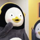 짬짜야
