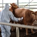 청남축산 이미지