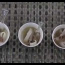 대성FOOD 이미지