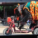 또 하나의 태국 전통공연, 코끼리 쇼, 태국 #3 이미지