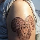 명암목장 이미지