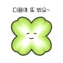 퍼니멍멍 장미애견펜션 이미지