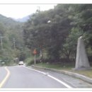 산골옻닭 - 화성시 세자로 273 | 산골옻닭