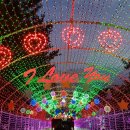 별빛랜드 이미지