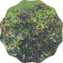 계림산업(주) | ♥"혜자로운 4박 5일? 중국 계림 양삭 단체여행, 제가 직접 경험해봤습니다!"