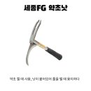 초월약초 이미지