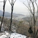 로타리 꽃농원 이미지