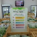 싱싱농산물 - 관악구 관악로24길 49 | 싱싱농산물