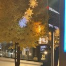 미노스 | 카공하기 좋은 신사 작업카페 24시카페 미노스커피 MINOSCoffeecult 내돈내산 후기
