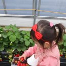 영복농장 이미지