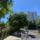 CU 온천벽산 | [내 집 마련 프로젝트]부산 금정구 장전동 금정산SK뷰 임장 후기