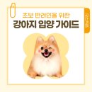 댕냥구리 강아지분양 고양이분양 구리본점 이미지