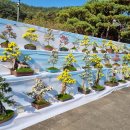 뜨락농원 이미지