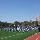 서귀포초등학교 병설유치원 이미지