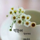 3월 23일 월요일 서울방 : 사람과 사람사이의 바램 이미지