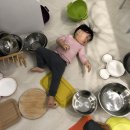 도담소리숲 유치원 | 도담소리 숲 유치원 / 생활 일상 장단점 자연 놀이터 대구 달서구 달성군 텍폴 입학설명회 처음학교로