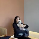 청주혜화학교 | #청주애견카페 푸르댕댕 내돈내산 :-) 5번다녀온후기!