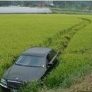 태장모터스 이미지