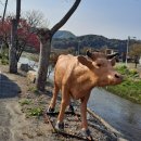 복수 한우음식특화거리 이미지