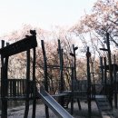 도덕산공원(야외음악당) 이미지