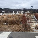 구미 옥계 강아지 산책하기 좋은 다온숲 방문후기 주차 정보