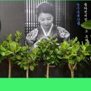 감선호취 이미지