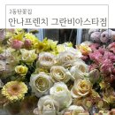 안나프렌치 이미지