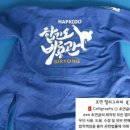 용인대 한빛 태권도장 이미지