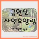 금원산자연휴양림(거창) | 반려견과 함께한 힐링 여행 금원산자연휴양림 애견동반 숙소 후기