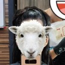 권은숙미용실 이미지