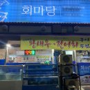 안산 해산물 가을제철 대하, 전어 먹으러 간 회마당 안산점