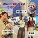 (주)개성푸드 | 1회차 강아지2마리랑 다녀온 후기 (우연히 다비치만난 후기) | 푸드트럭 달빛무지개분수 무소음DJ파티...