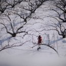 한별목장 이미지