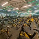 헬스 버디짐 사상점 | 헬스버디짐 사상점 : 부산 사상구 PT 잘하는 헬스장 추천