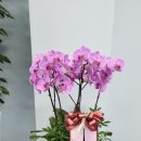 현대그린모터스 이미지